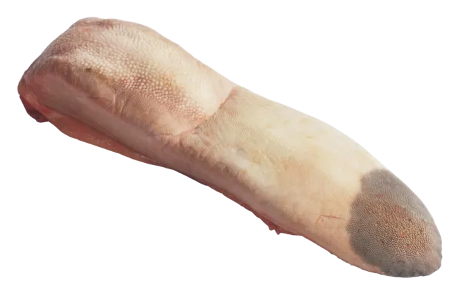 [0404] Langue de Bœuf