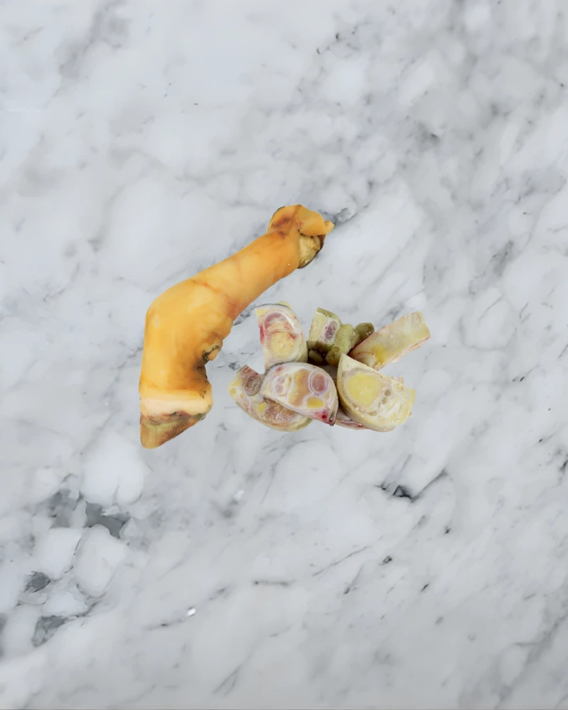 [0406] Pied de Bœuf 