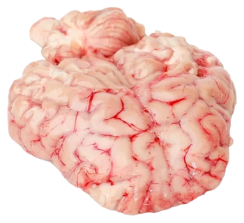 Cervelle d’agneau 